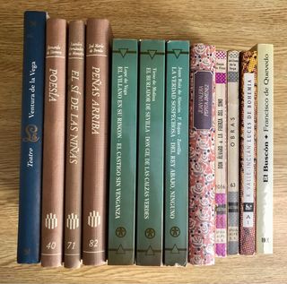 Lote 12 libros literatura clásica / 2 eur. el lote