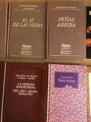 Lote 12 libros literatura clásica / 2 eur. el lote