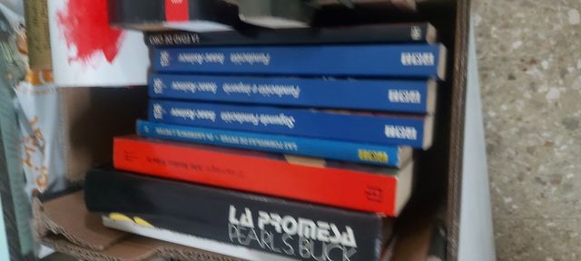 Lote libros