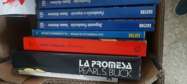 Lote libros