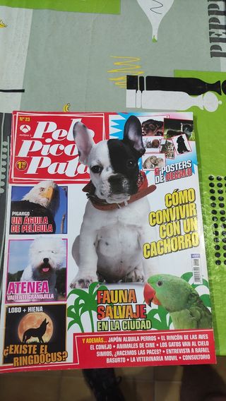 Revistas PS2 (Playstation 2) y Playmanía