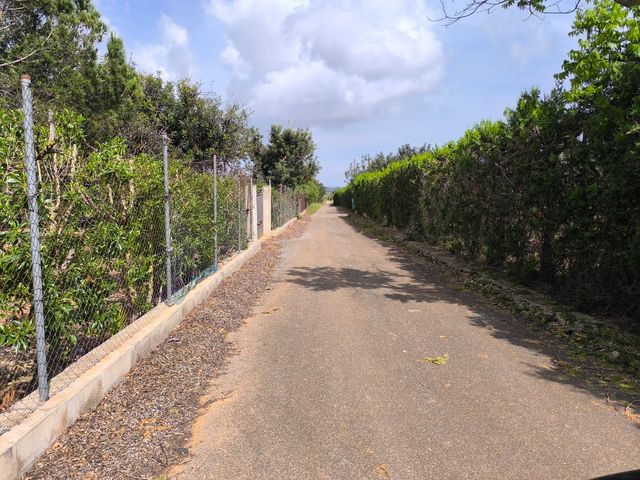 FINCA A 10 MIN. DEL MAR EN LA RÀPITA(TARRAGONA)