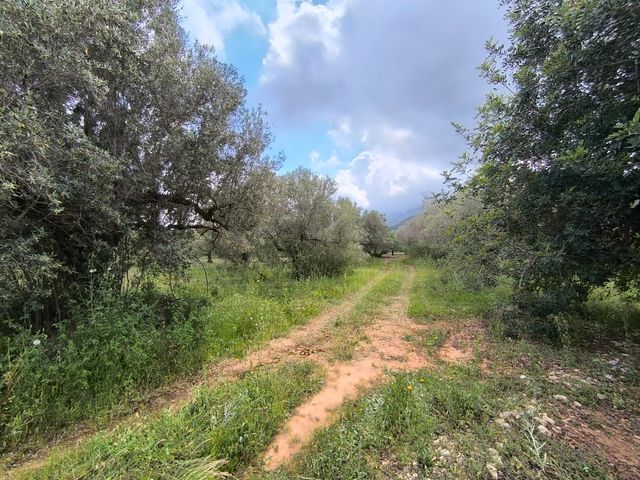 FINCA A 10 MIN. DEL MAR EN LA RÀPITA(TARRAGONA)