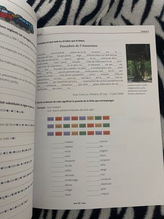 Aplica't. Quadern de suport del llibre digital....