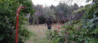 Jardinero profesional 632472573