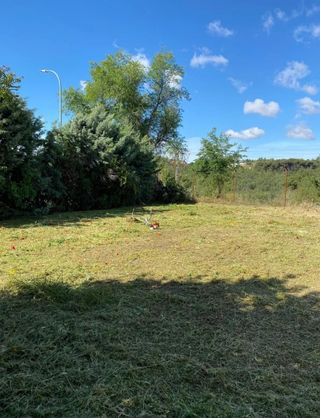 Jardinero profesional 632472573