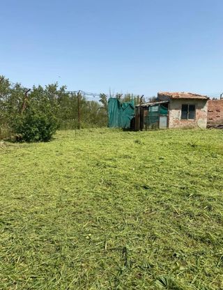 Jardinero profesional 632472573