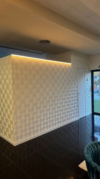 Pintor / papel pintado