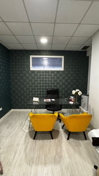 Pintor / papel pintado