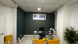 Pintor / papel pintado