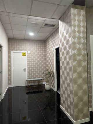 Pintor / papel pintado