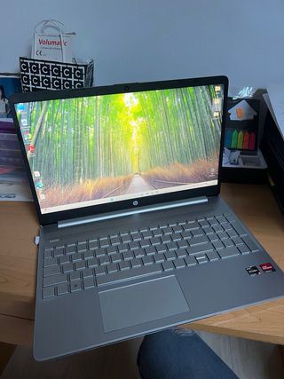 Computer portatile HP - Argento