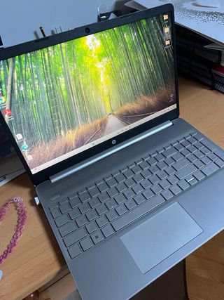 Computer portatile HP - Argento