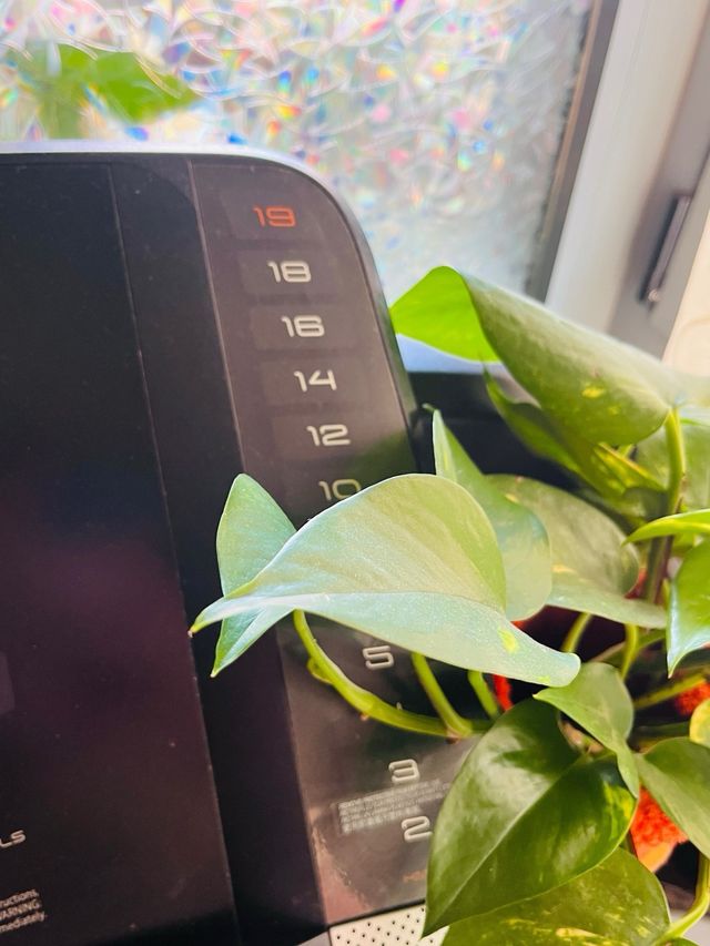 Cinta de correr grande NordicTrack T5.5S