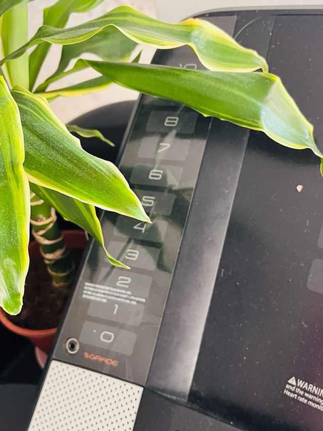 Cinta de correr grande NordicTrack T5.5S