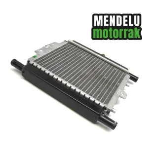 Radiador Peugeot Satelis RS 125 2009