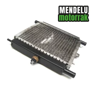 Radiador Peugeot Satelis RS 125 2009