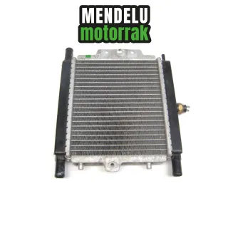 Radiador Peugeot Satelis RS 125 2009