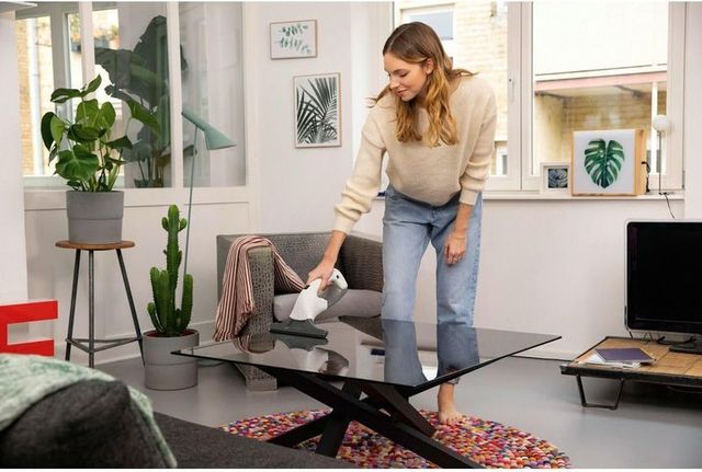 Karcher Limpiadora de Cristales WV 1 Plus