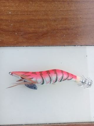 Señuelos Eging-Calamar: 7 uds