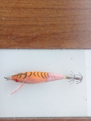 Señuelos Eging-Calamar: 7 uds