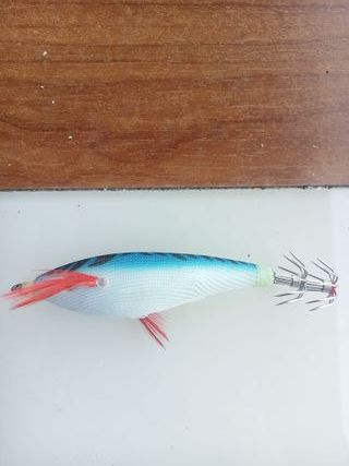 Señuelos Eging-Calamar: 7 uds