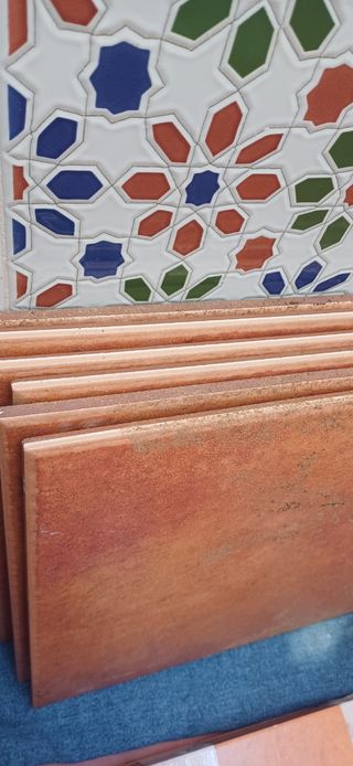 Baldosas suelo rusticas