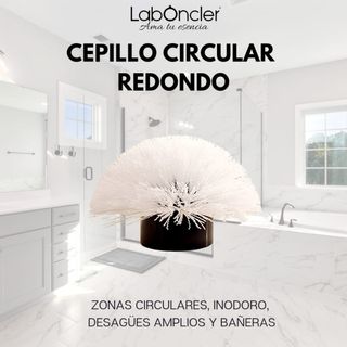 Limpiador eléctrico Roll Master 8 Plus. Negro