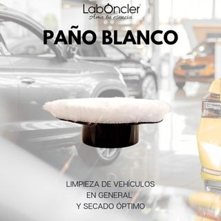 Limpiador eléctrico Roll Master 8 Plus. Negro