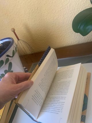 Libro Infantil: Cuando el mundo era joven