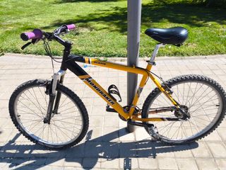 Bicicleta Mondraker Alamo montaña