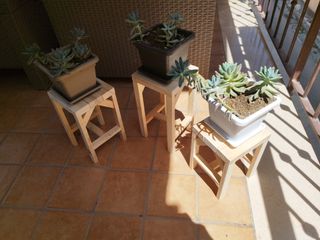 Tris portapiantine in legno