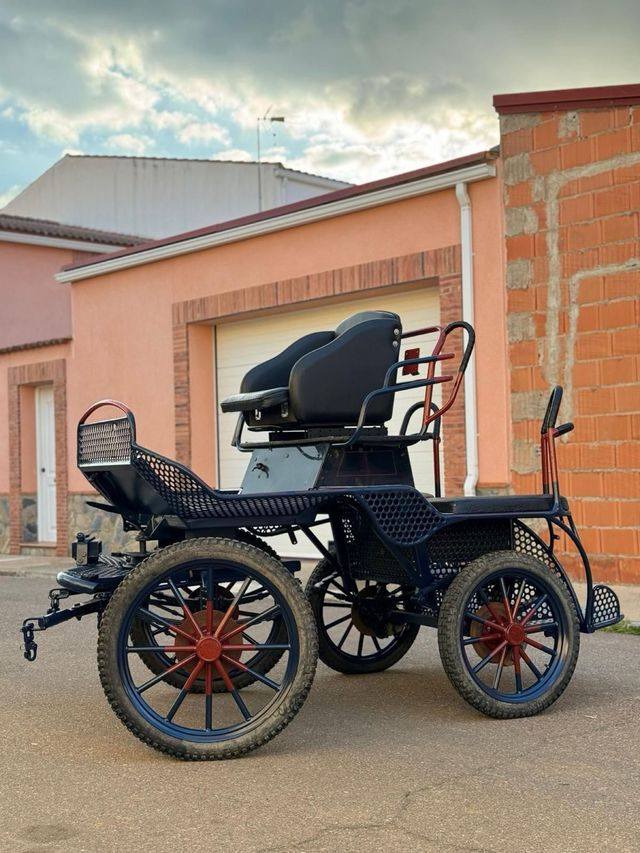 Carro caballos maraton 3 plazas 