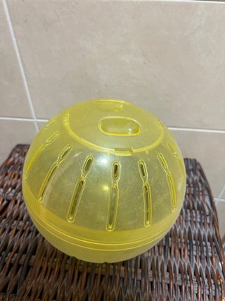 casa hamster