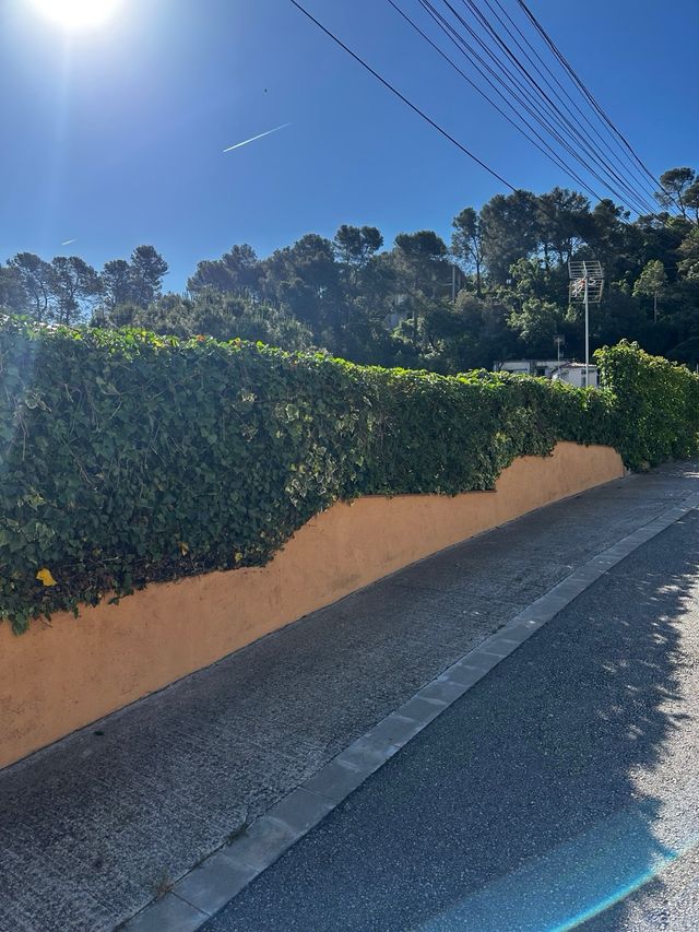 jardineria , trabajos 