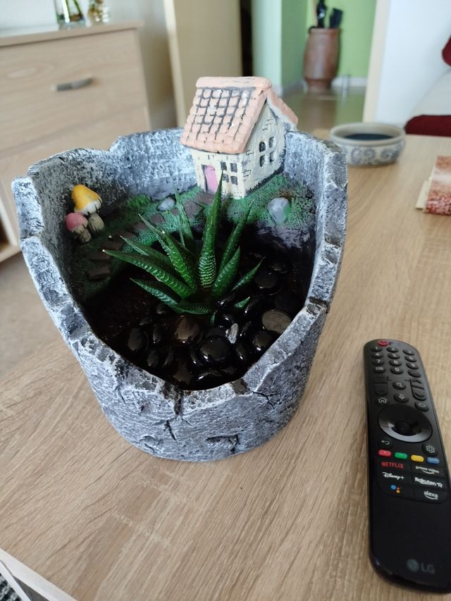 Maceta piedra decorativa con planta