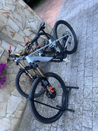 Bicicleta Orbea Wild MTB