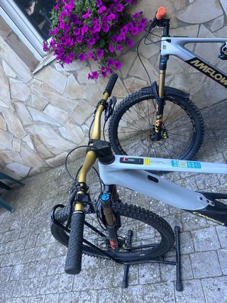 Bicicleta Orbea Wild MTB