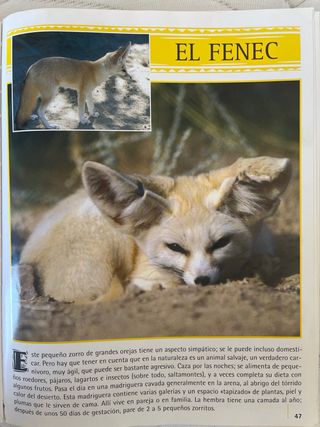 GRAN ENCICLOP.DE LOS ANIMALES