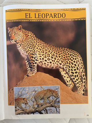 GRAN ENCICLOP.DE LOS ANIMALES