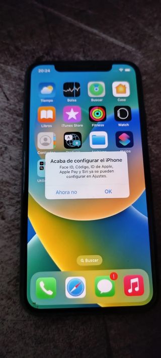 iPhone X (10) - Impecable