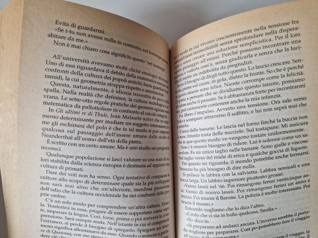 Il Senso DI Smilla Per La Neve