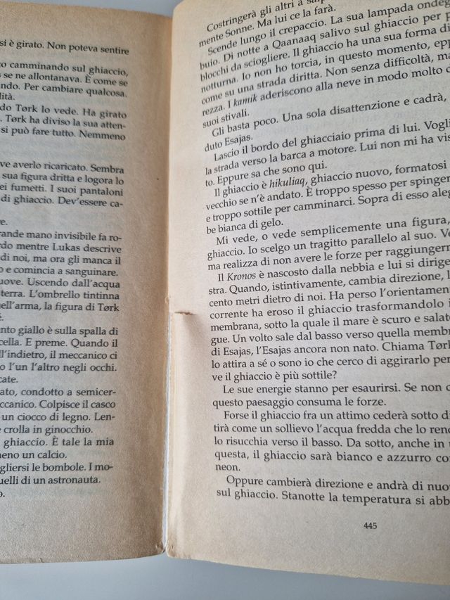 Il Senso DI Smilla Per La Neve