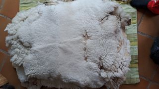 Pieles de oveja
