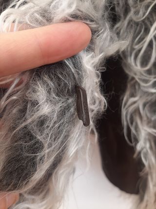 Chaleco pelo gris-marrón Sanye - Nuevo