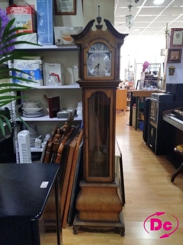 Reloj de Péndulo Antiguo Tempus Fugit