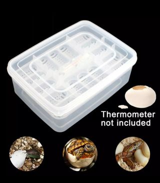 Kit Incubación Huevos ReptilesTapers y Calefacción