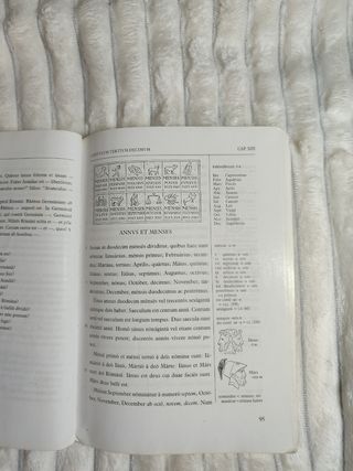 Lingua Latina per se Illustrata, Pars I: Famili...