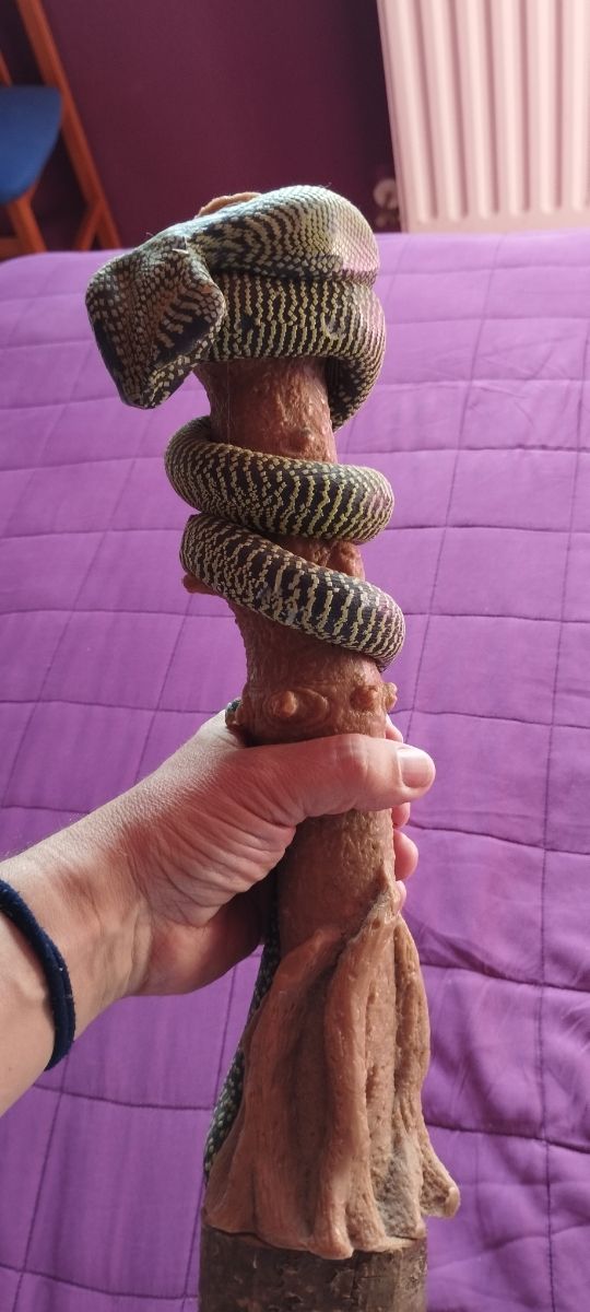 vela decorativa con forma de serpiente