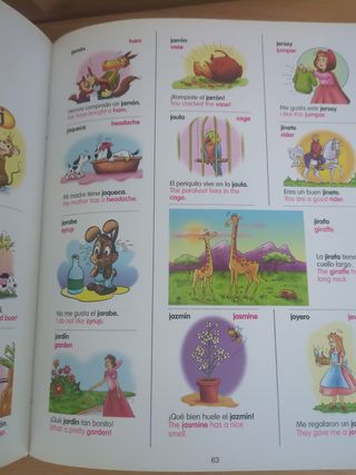 Mi gran diccionario español-ingles